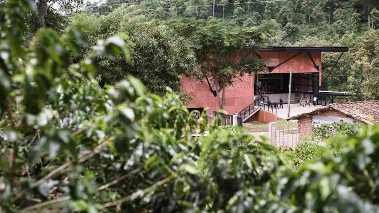 Esta iniciativa, que afianza los lazos con los caficultores, genera beneficios tangibles en materia de sostenibilidad económica, social y ambiental.