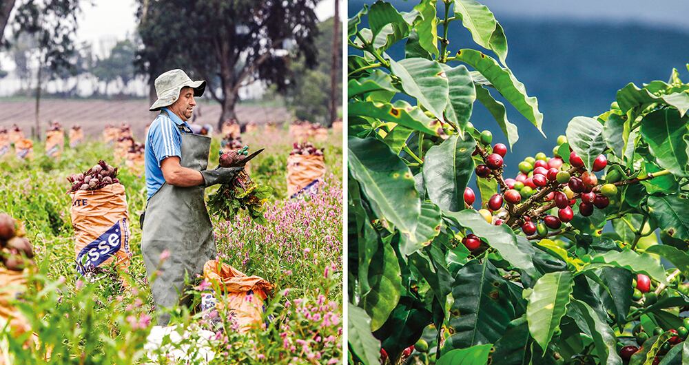   Los gremios económicos, al comienzo del Gobierno, se mostraron receptivos con los mensajes que recibían. Ahora, los colombianos perciben que está cerca el fin de la luna de miel.
