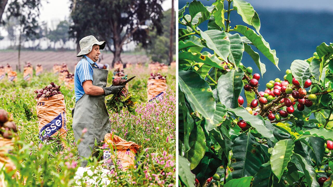 Los gremios económicos, al comienzo del Gobierno, se mostraron receptivos con los mensajes que recibían. Ahora, los colombianos perciben que está cerca el fin de la luna de miel.