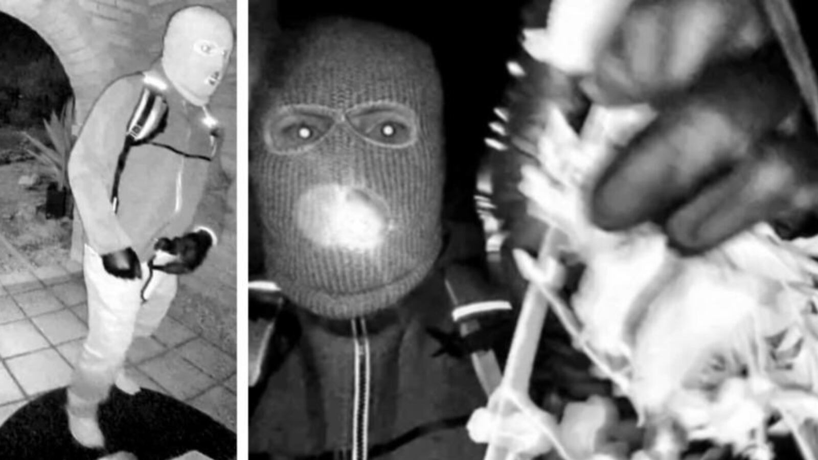 Imágenes de sospechosos armado que manipuló la cámara de seguridad de la casa