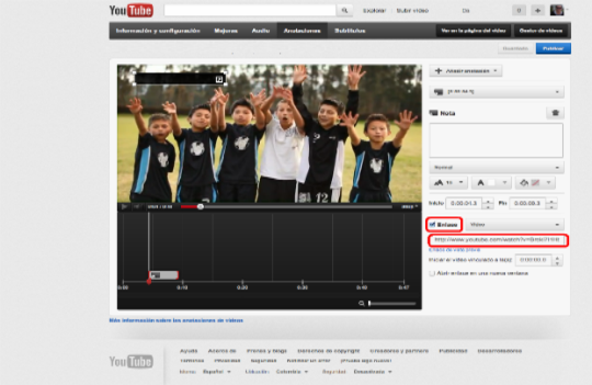 7. Seleccionar  “Enlace” y pegar el link en el espacio que aparece. 