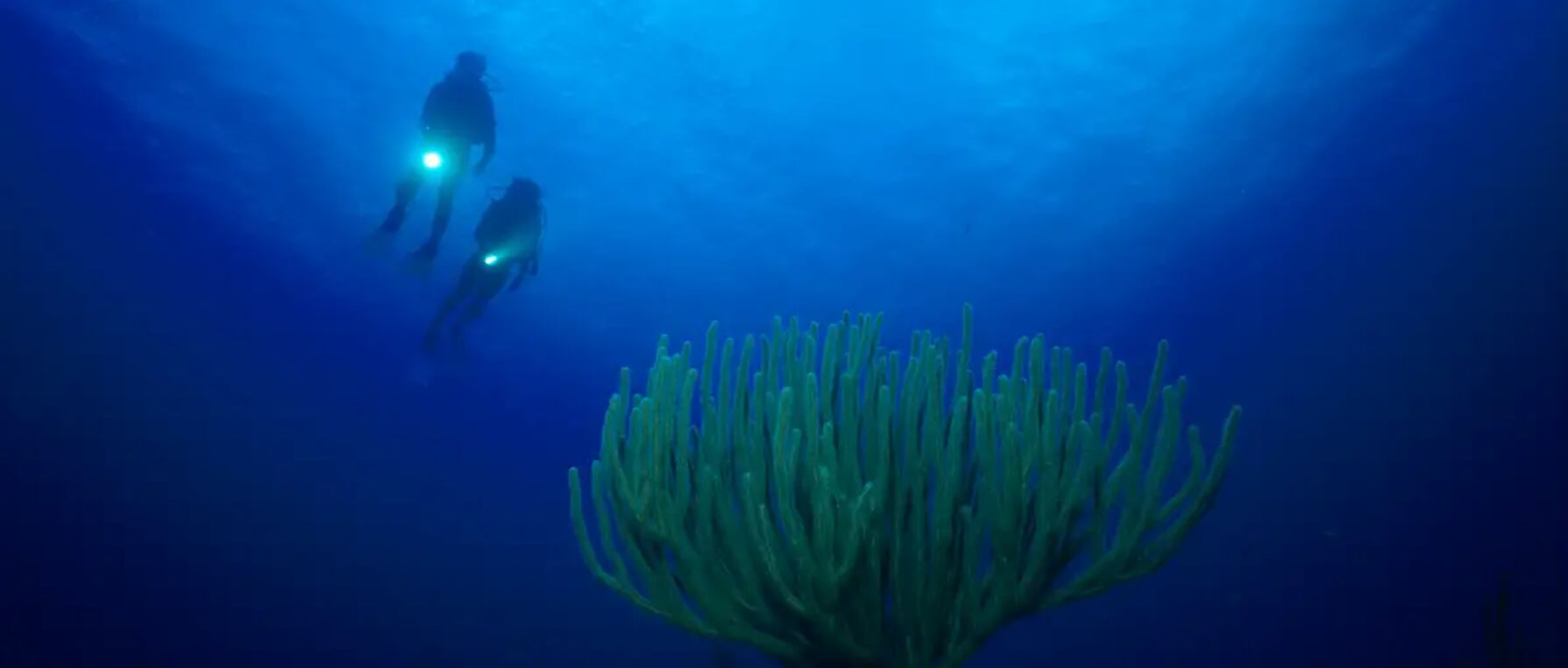 A gran profundidad, formas simétricas desafían a la geología.