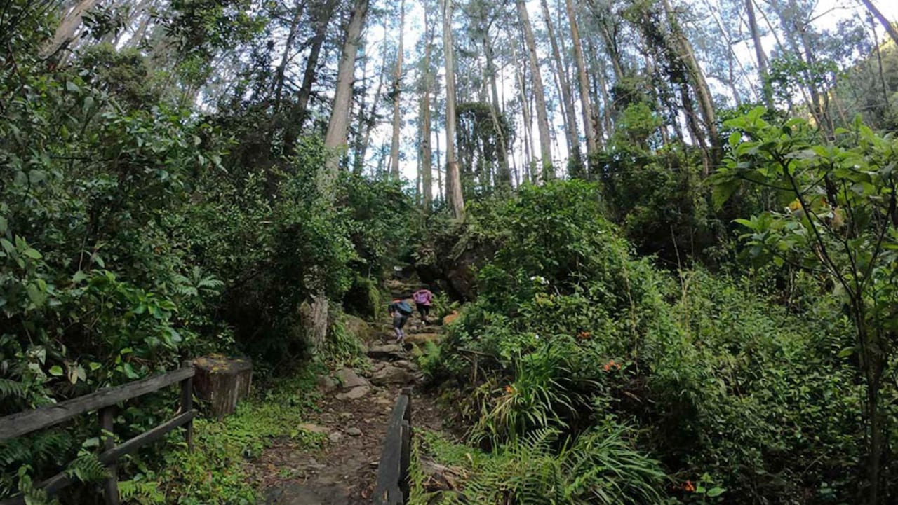 Senderos para visitar en Bogotá