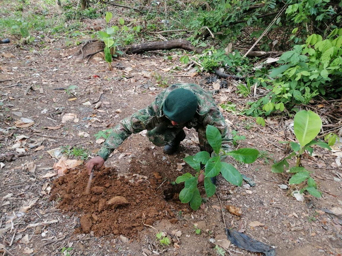 Con esto hacen campañas de reforestación y buscan la recuperación de fuentes hídricas