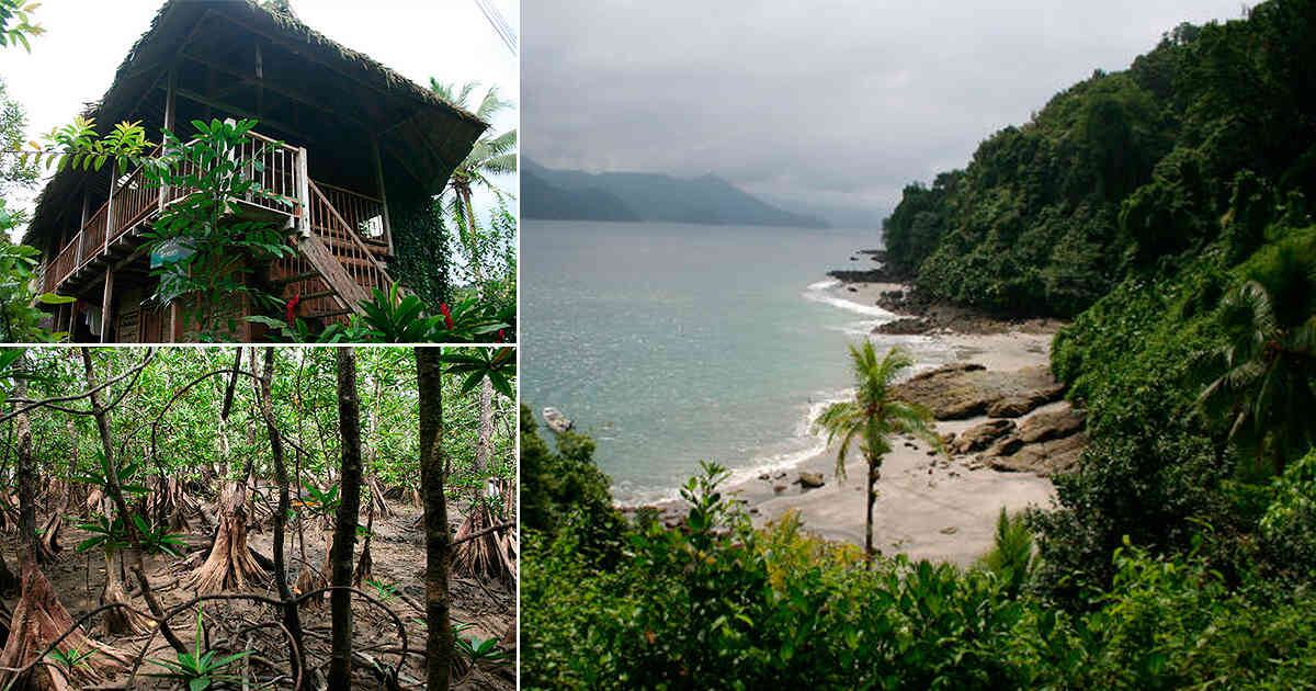 Utría (Fotos: Parque Nacionales Naturales)