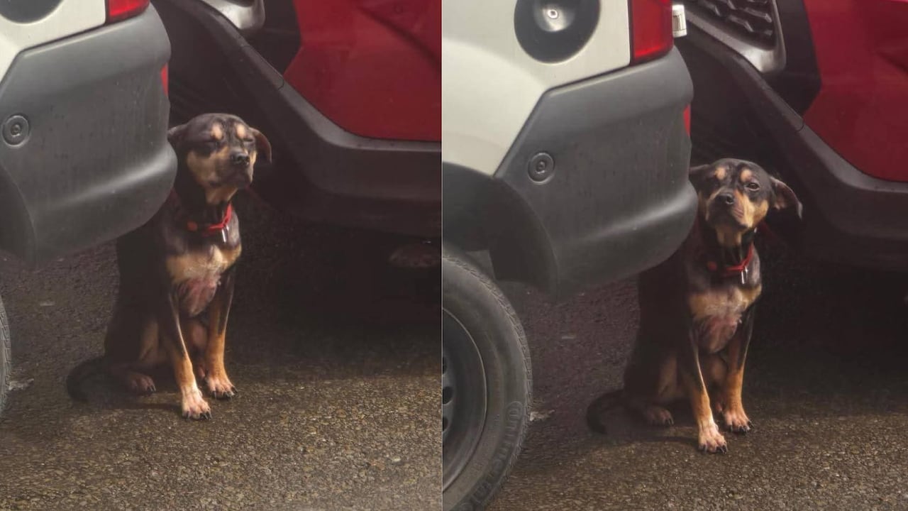Su familia se encuentra pidiendo ayuda desde hace más de un mes.