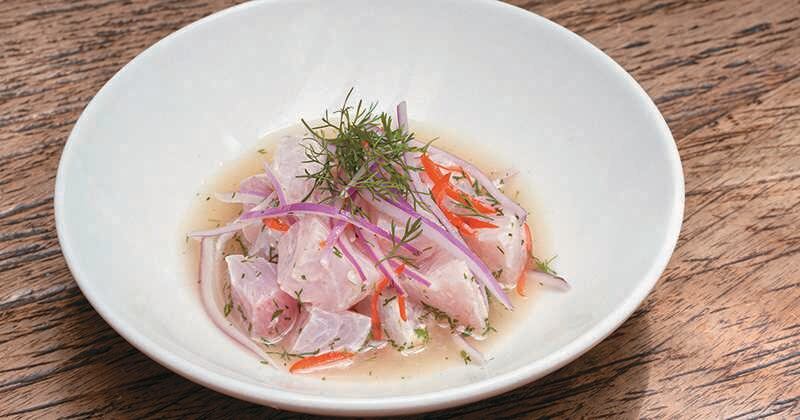 Son varias las categorías habilitadas para esta nueva versión del Gastrofest