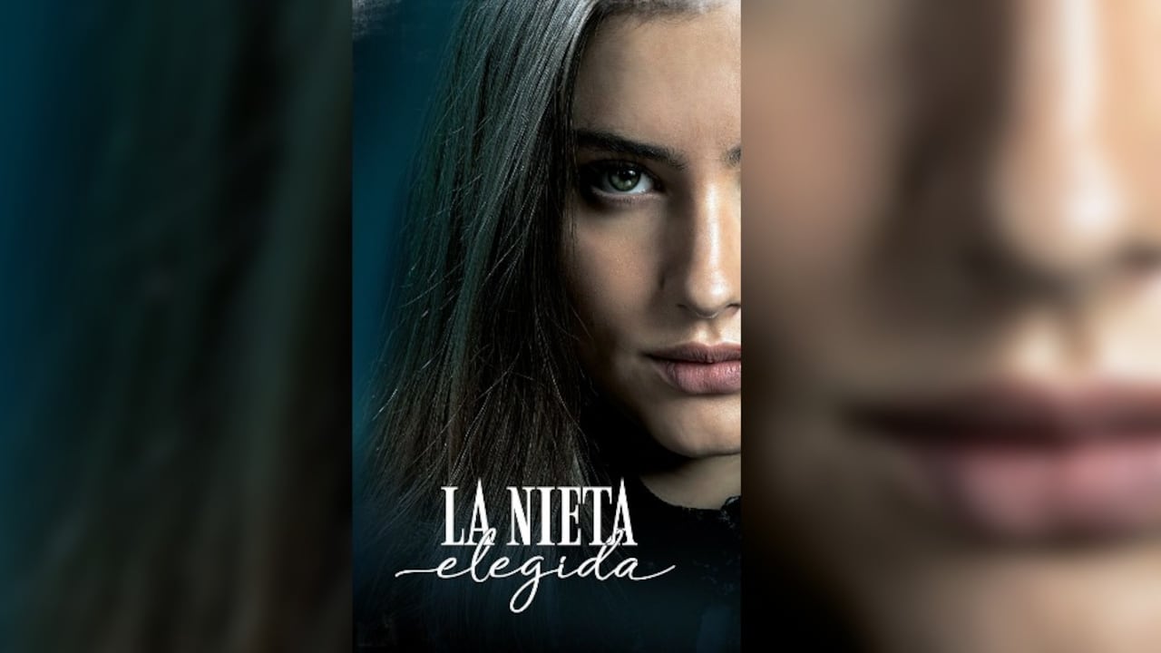 Imagen de la novela La Nieta Elegida