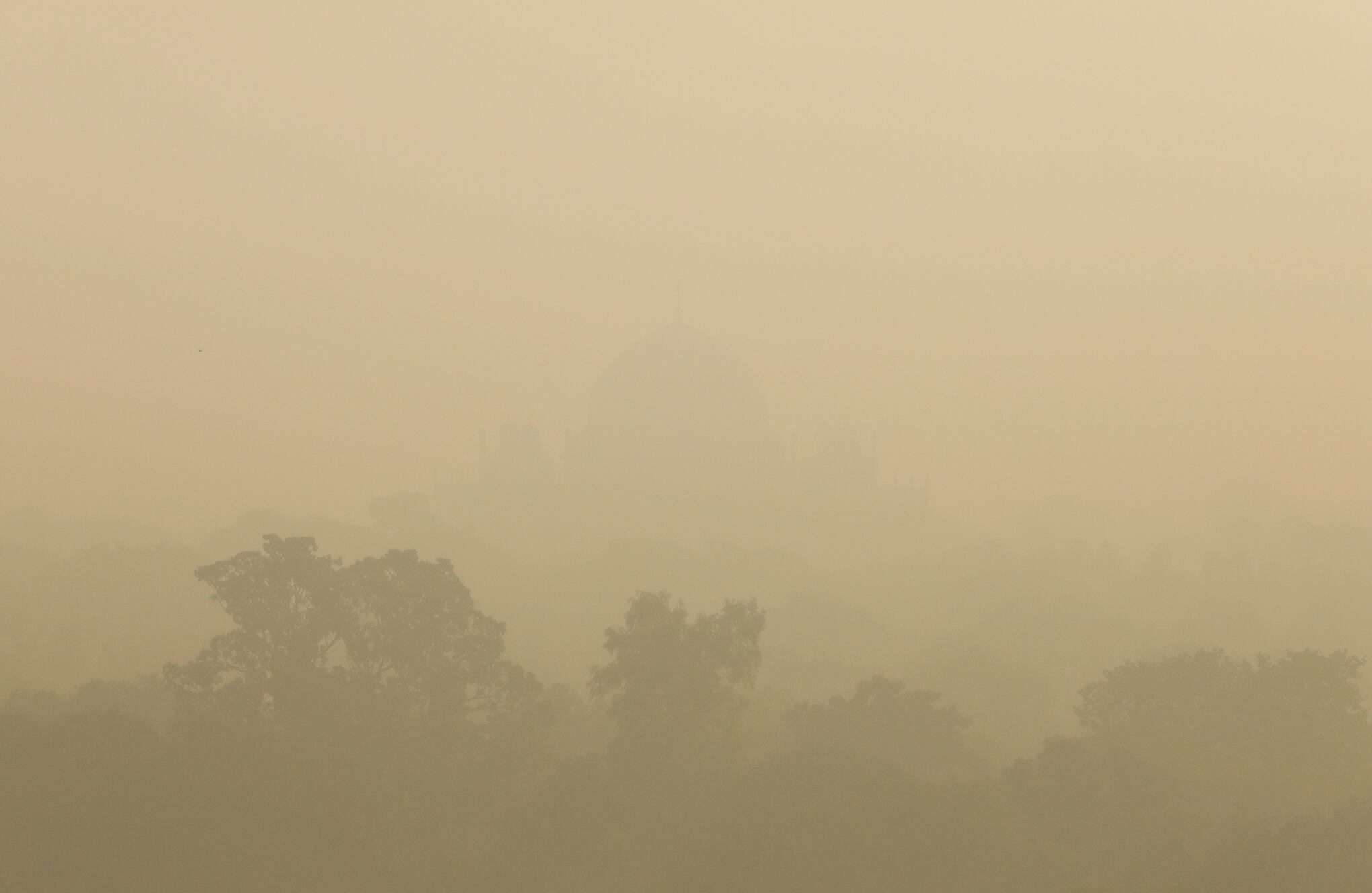 India ordena trabajar desde casa por la contaminación de Delhi