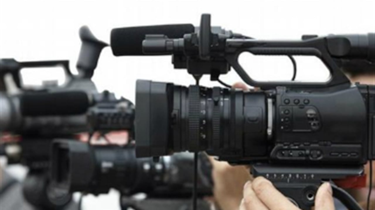 De los 20 activistas asesinados, 18 se dedicaban a la defensa de Derechos Humanos relacionados al acceso a la tierra y la protección de los territorios y el medio ambiente.