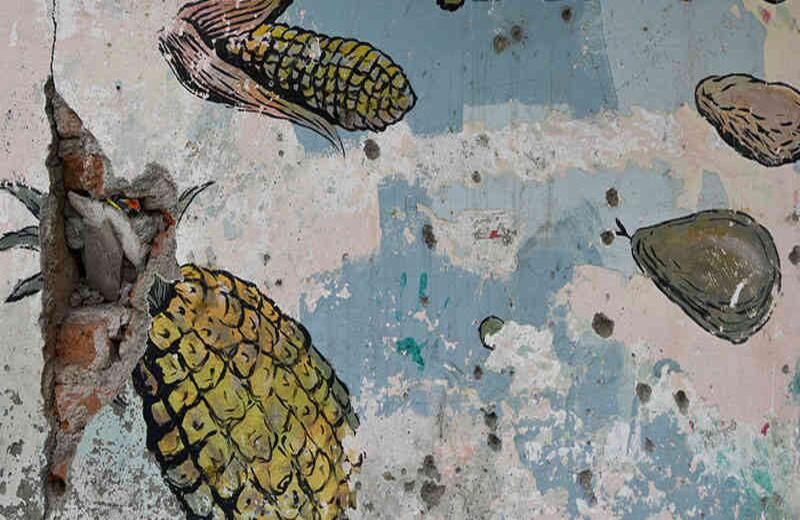 Los grafitis expresan esperanza y deseo de paz.