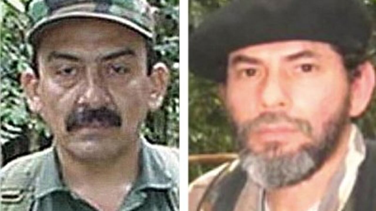 'Mauricio Jaramillo' y 'Pastor Alape' asumirán las tareas del 'Mono Jojoy'.