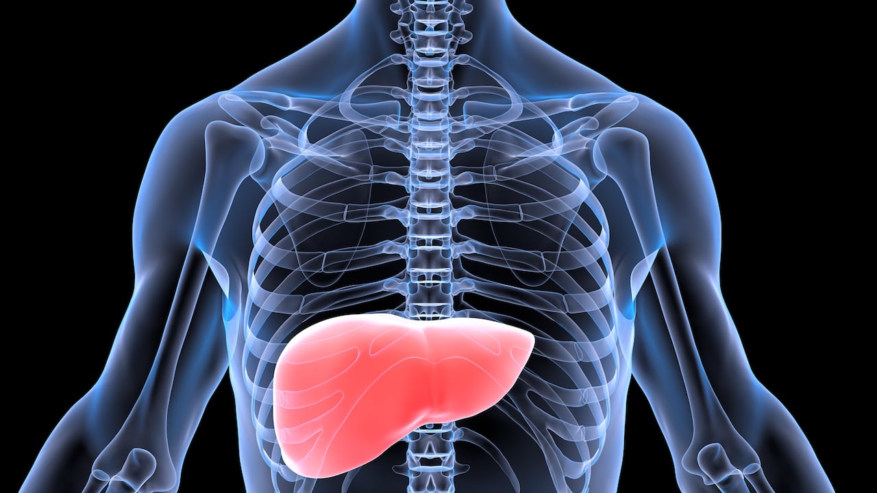 El cuidado del hígado es fundamental para conservar la salud.