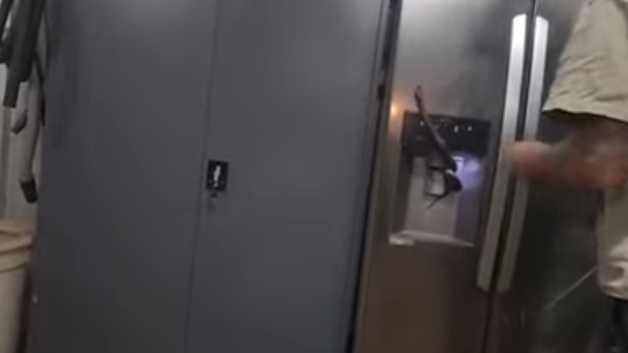 El cazador de serpientes logró extraer al animal del refrigerador