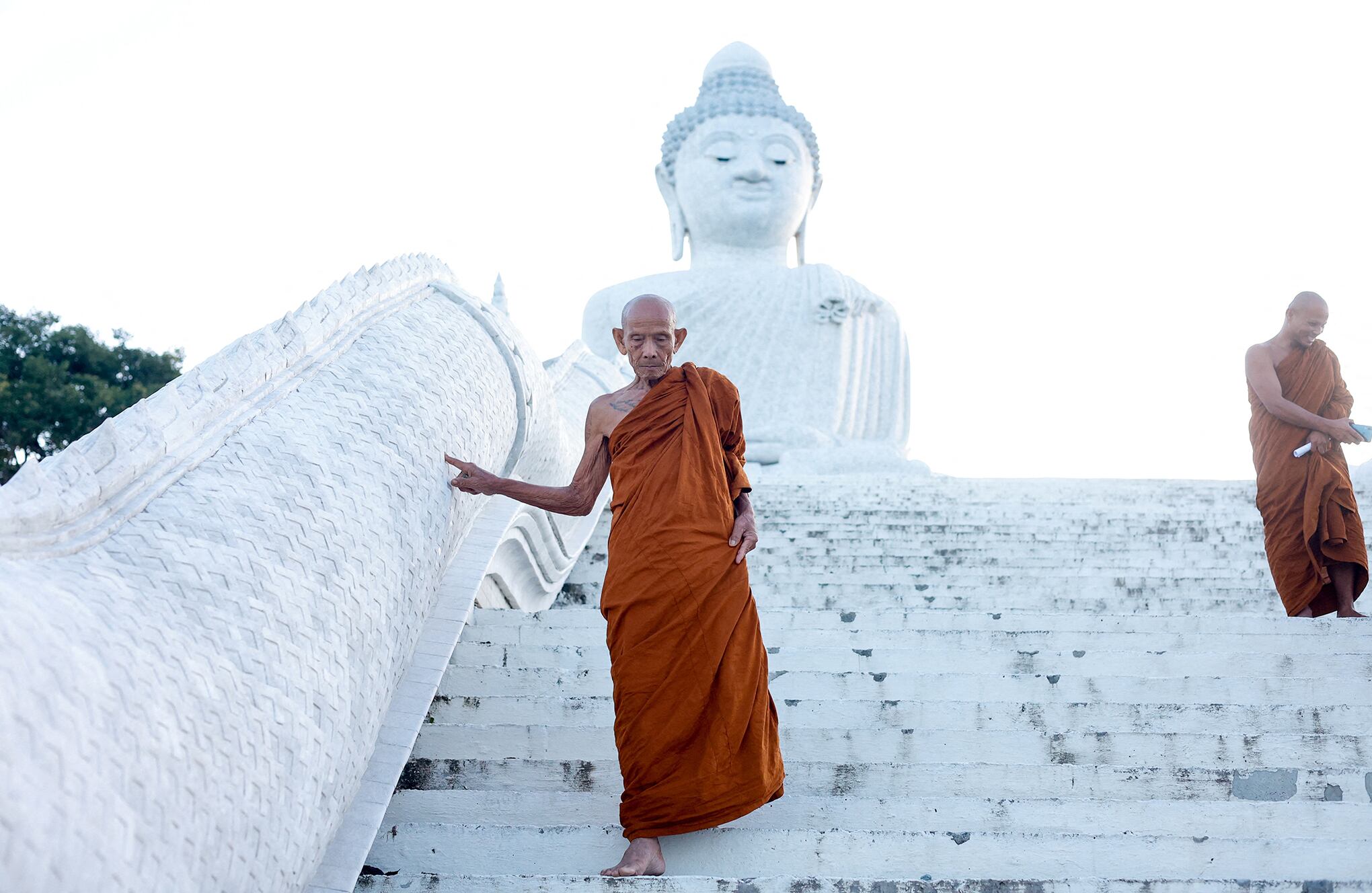 Fotos de la Semana 7 julio