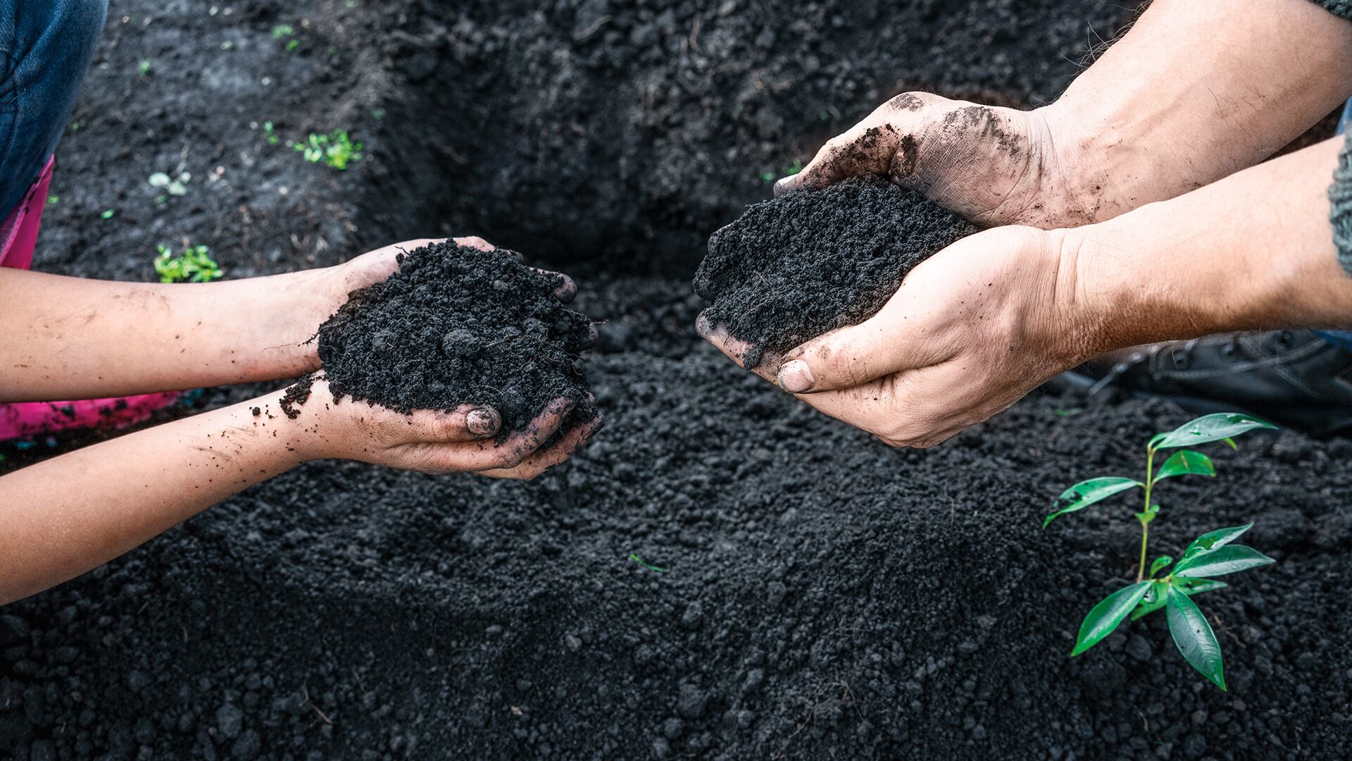 NO USAR, USO EXCLUSIVO MEJOR COLOMBIA, Especial Empresas que Contruyen País, inversión Extranjera