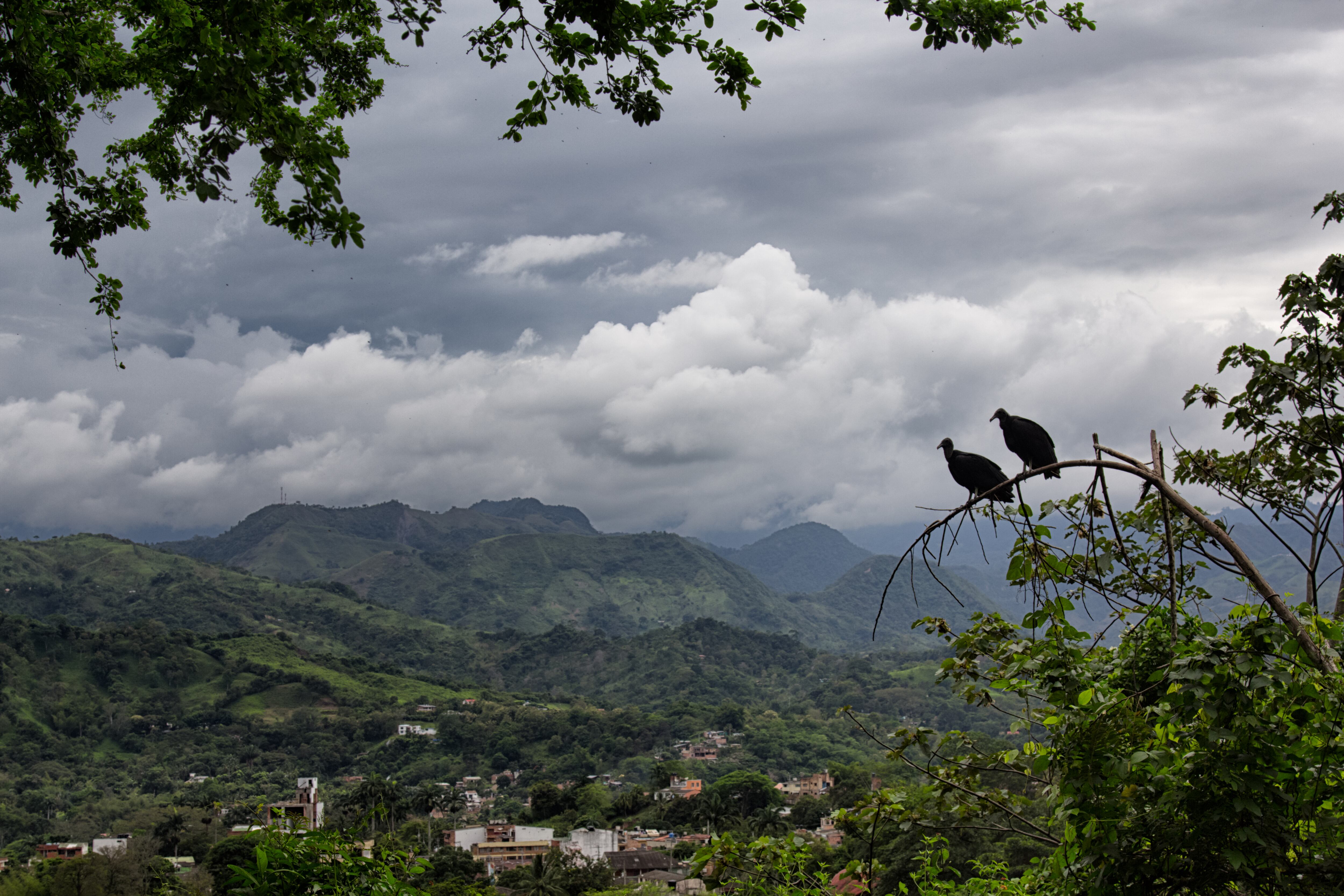 ¿Cuánto cuesta el pasaje en bus de Bogotá a Villeta en 2024?