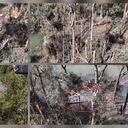 Exclusivo: así quedó el campamento donde habría muerto Iván Mordisco