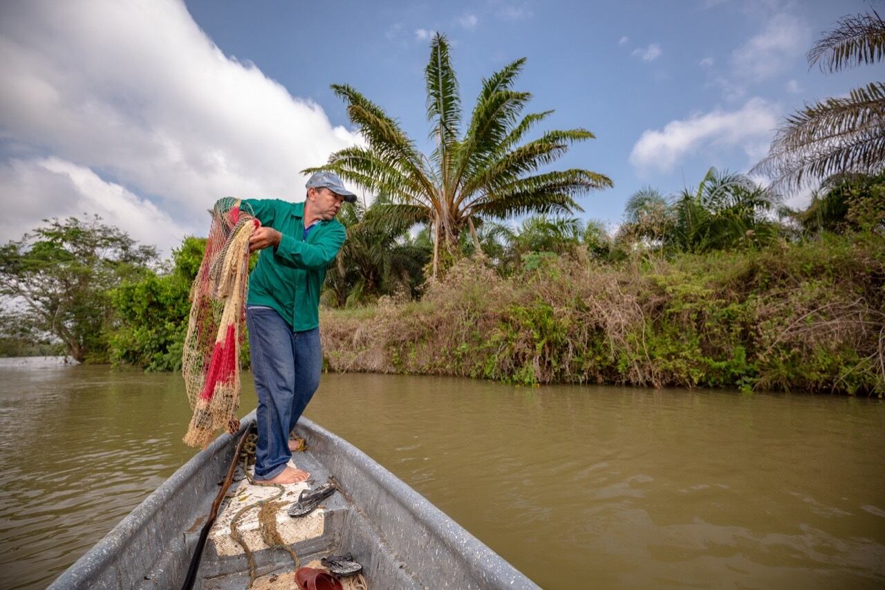 Peces en el río Magdalena