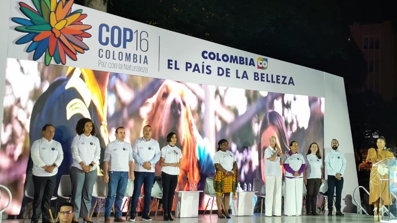 Presentación oficial de Cali como sede de la Cop16