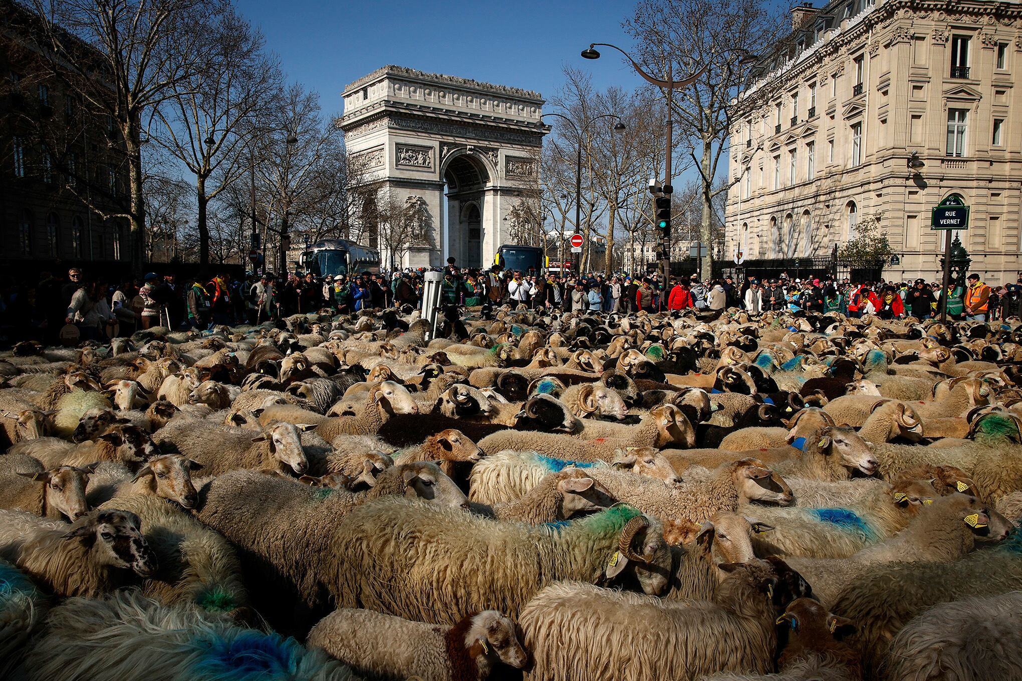 Fotos de la semana 11 marzo.docx