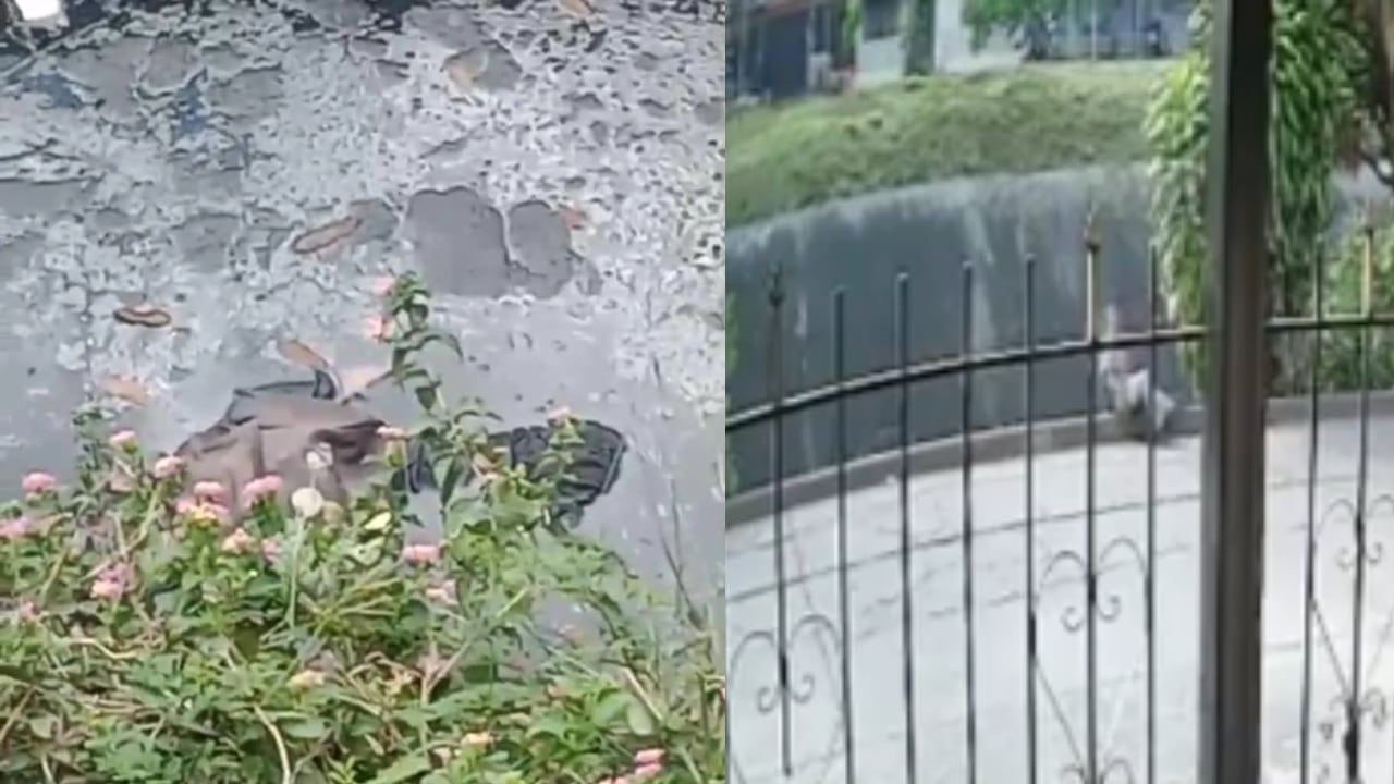 El cuerpo fue hallado en Santa Elena, Cali.