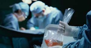 "Si bien hay órganos que duran hasta 24 horas como lo son los riñones, el corazón, hígado y pulmones tan solo cuentan con 4 horas de vida despues de declarada la muerte".