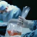 "Si bien hay órganos que duran hasta 24 horas como lo son los riñones, el corazón, hígado y pulmones tan solo cuentan con 4 horas de vida despues de declarada la muerte".