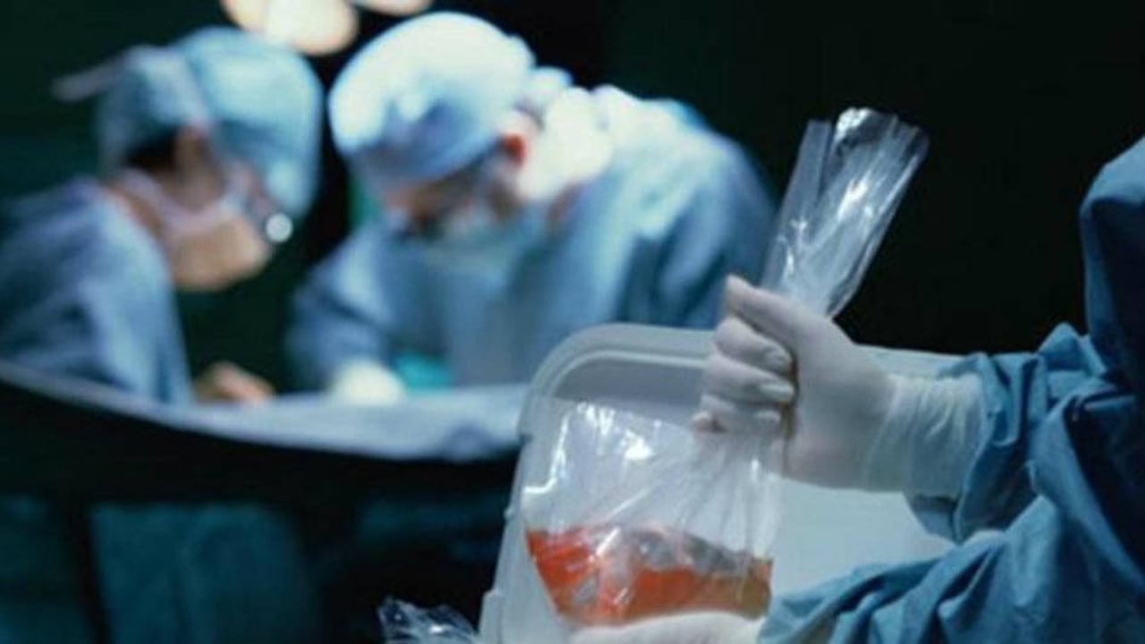 "Si bien hay órganos que duran hasta 24 horas como lo son los riñones, el corazón, hígado y pulmones tan solo cuentan con 4 horas de vida despues de declarada la muerte".