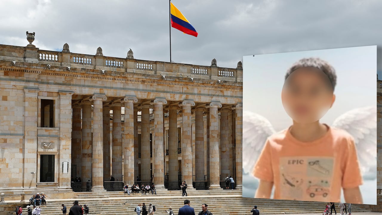El Congreso discutirá el proyecto en honor al menor fallecido.