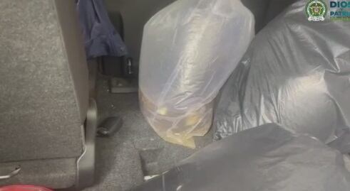 Los peces estaban metidos en bolsas plásticas.