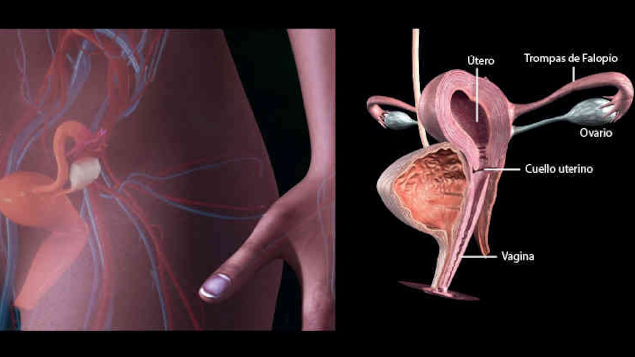 Todas las preguntas serán resueltas por la ginecóloga oncóloga Lina Trujillo, este 24 de marzo a partir de las 10:30 de la mañana.