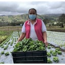 María Hilda Ramírez, una de las emprendedoras de la zona rural de Bogotá que ofrecerá sus productos en el mercado que se llevará a cabo en Plaza de las Américas.