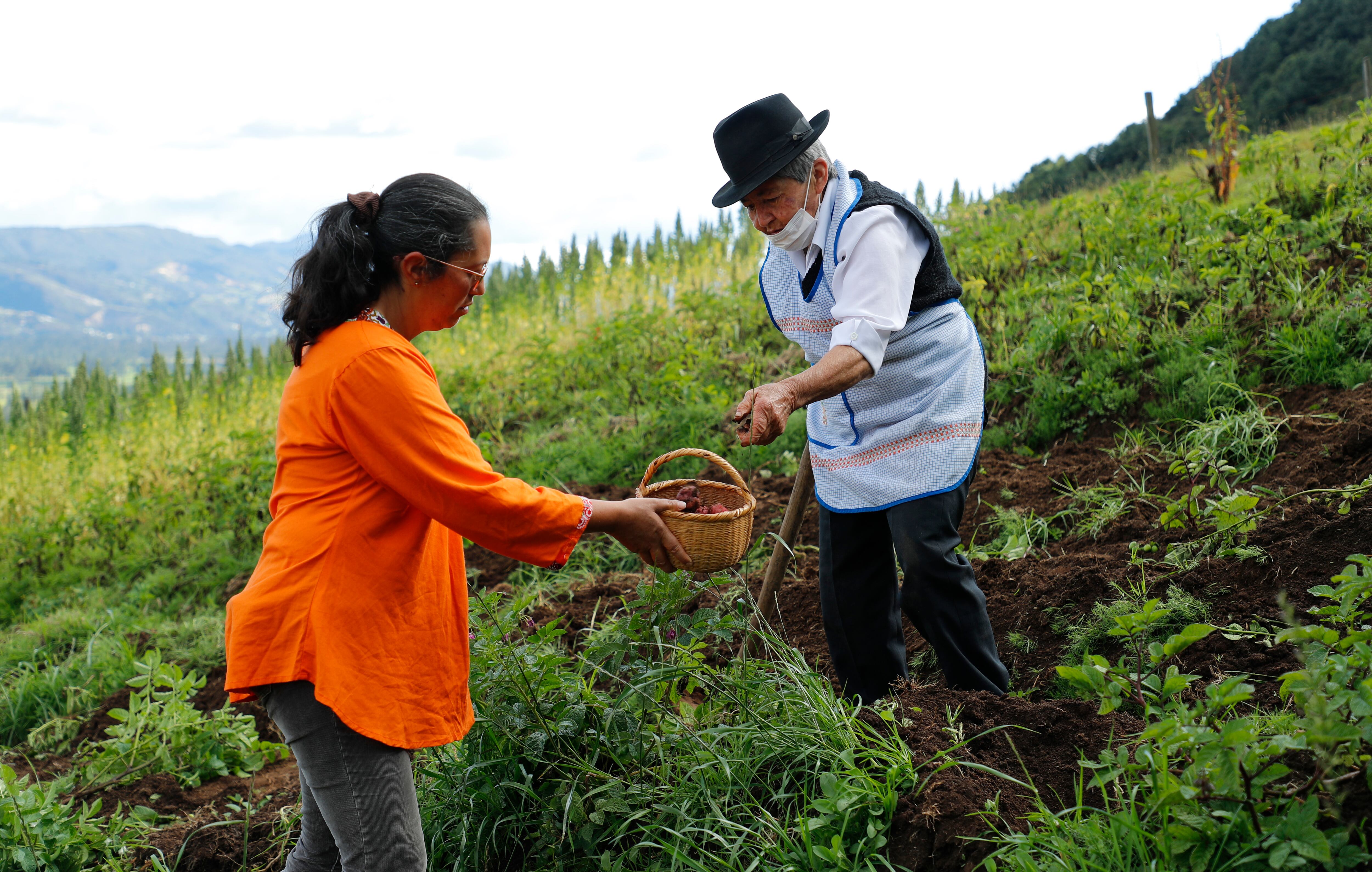 Con la reforma agraria el Gobierno pretende cumplir con el primer punto de los acuerdos de paz en un plazo de 12 años.