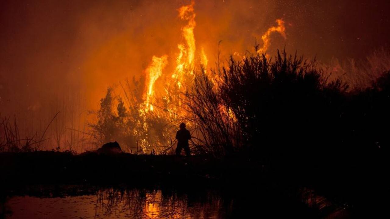 El incendio en la región de Algarve sigue activo en un perimetro de más de 100 kilometros y de la zona han sido desalojadas más de 300 personas.