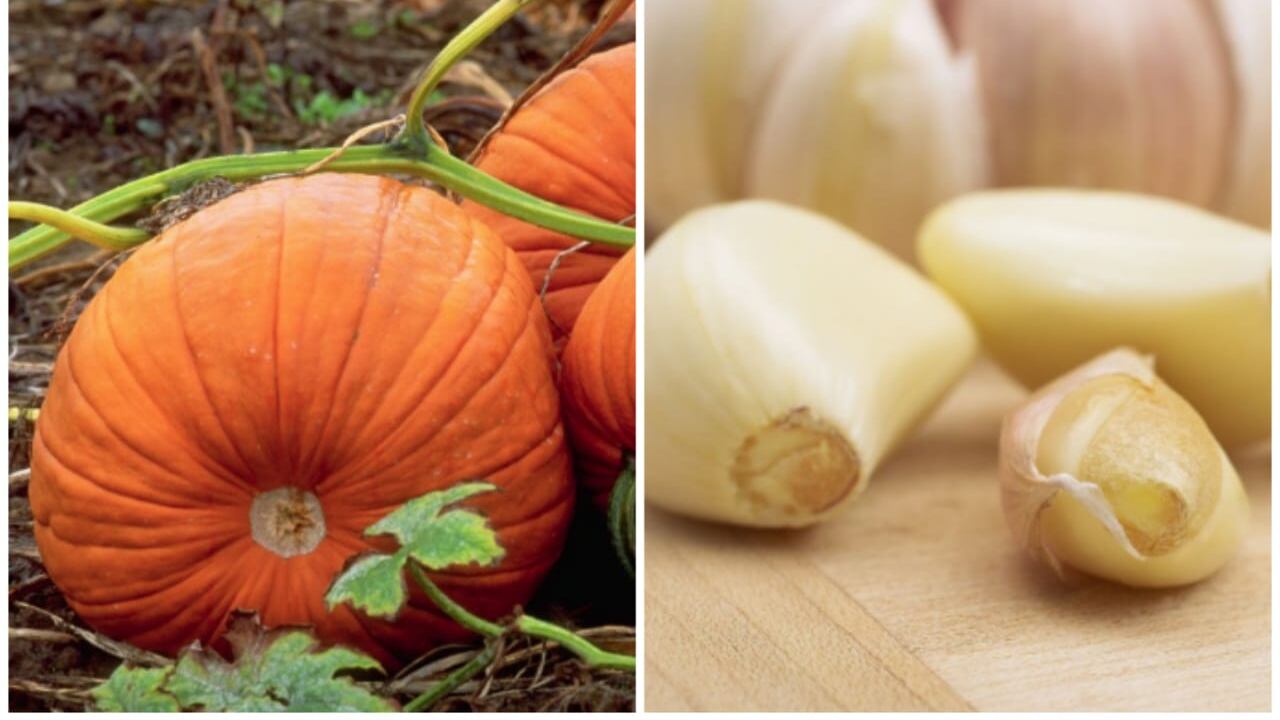 Estos alimentos son ideales para tratar el colesterol elevado en las personas.
