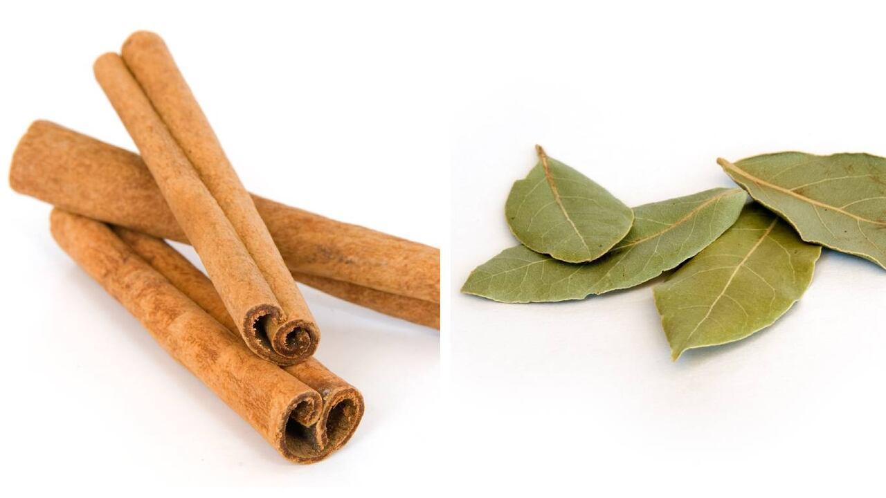 La canela y el laurel tienen propiedades diuréticas y depurativas. Foto: Getty Images montaje SEMANA.