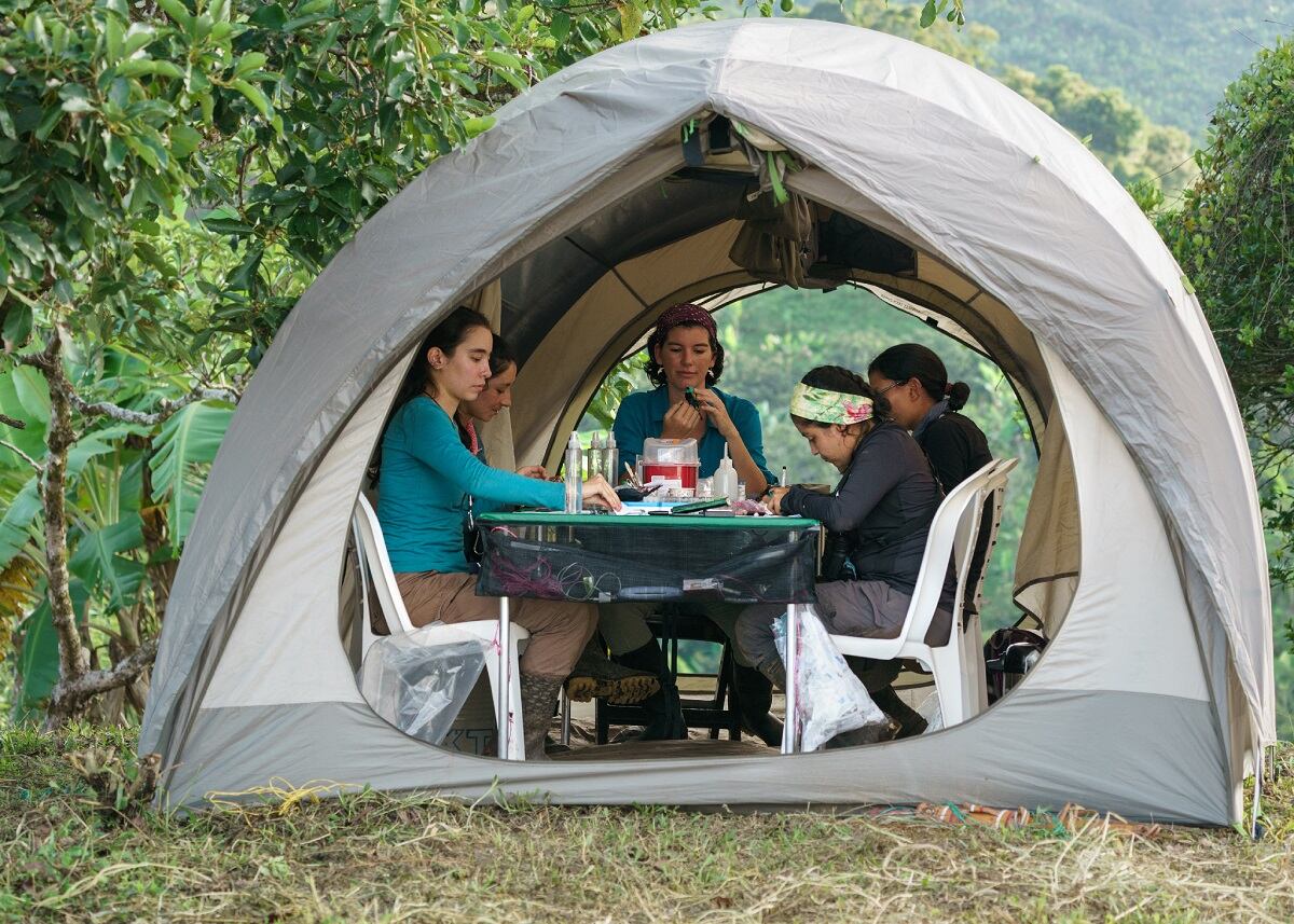 Primera expedición femenina de aves en Colombia