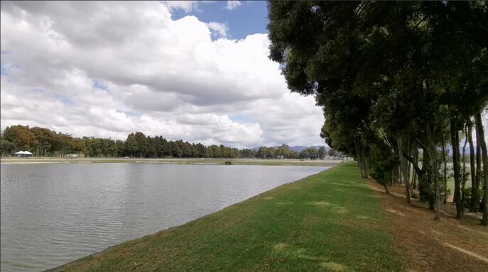 El aeropuerto El Dorado está comprometido con el cuidado de los ecosistemas vecinos como humedales y el río Bogotá.