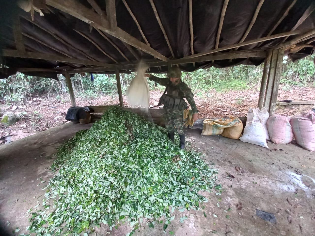 Hoja de coca picada y barriles con insumos fueron destruidos