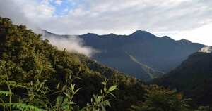 La autonomía de los acuerdos de las 20 veredas han permitido conservar más del 90 por ciento de la Serranía El Pinche en el sector del Argelica, Cauca. Foto: Jhon Alexander Sánchez.