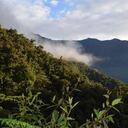 La autonomía de los acuerdos de las 20 veredas han permitido conservar más del 90 por ciento de la Serranía El Pinche en el sector del Argelica, Cauca. Foto: Jhon Alexander Sánchez.