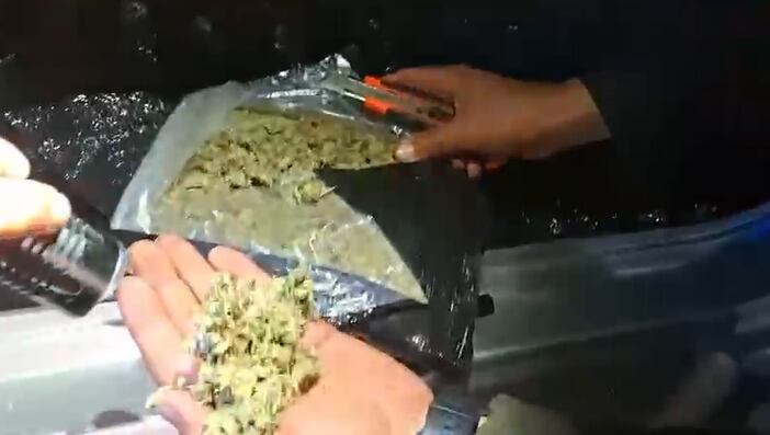 Policía incautó marihuana en Cundinamarca en una camioneta gemeleada y con placas oficiales.