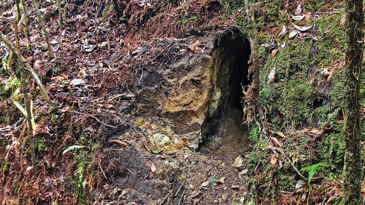 Así se ve la fachada de la cueva del horror en las montañas de Antioquia. En su interior, la infraestructura todavía está intacta y es custodiada por centenares de murciélagos que han hecho de esa su casa.