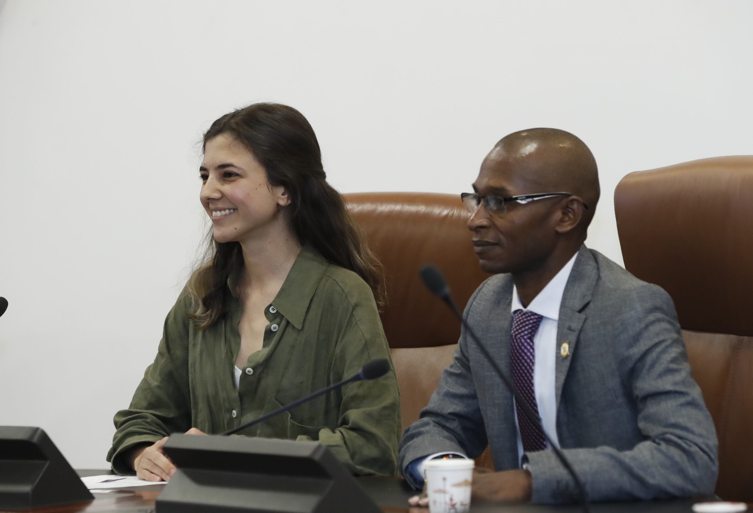 Susana Boreal presidenta de la Comisión Legal de Ética y el Estatuto del Congresista de la Cámara de Representantes