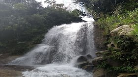 Argelia, Antioquia