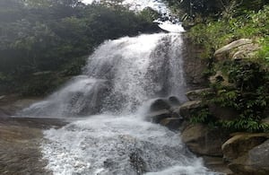 Argelia, Antioquia