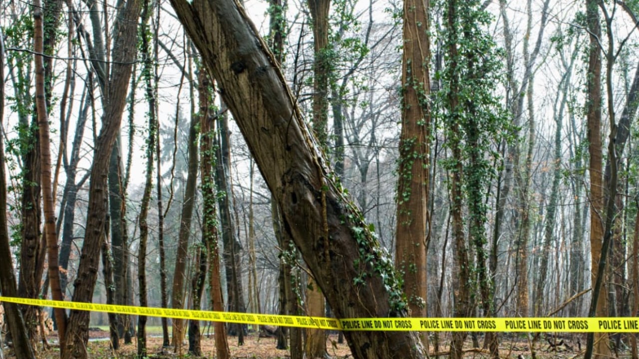 Basso era un defensa titular del equipo de fútbol Brewer Witches,