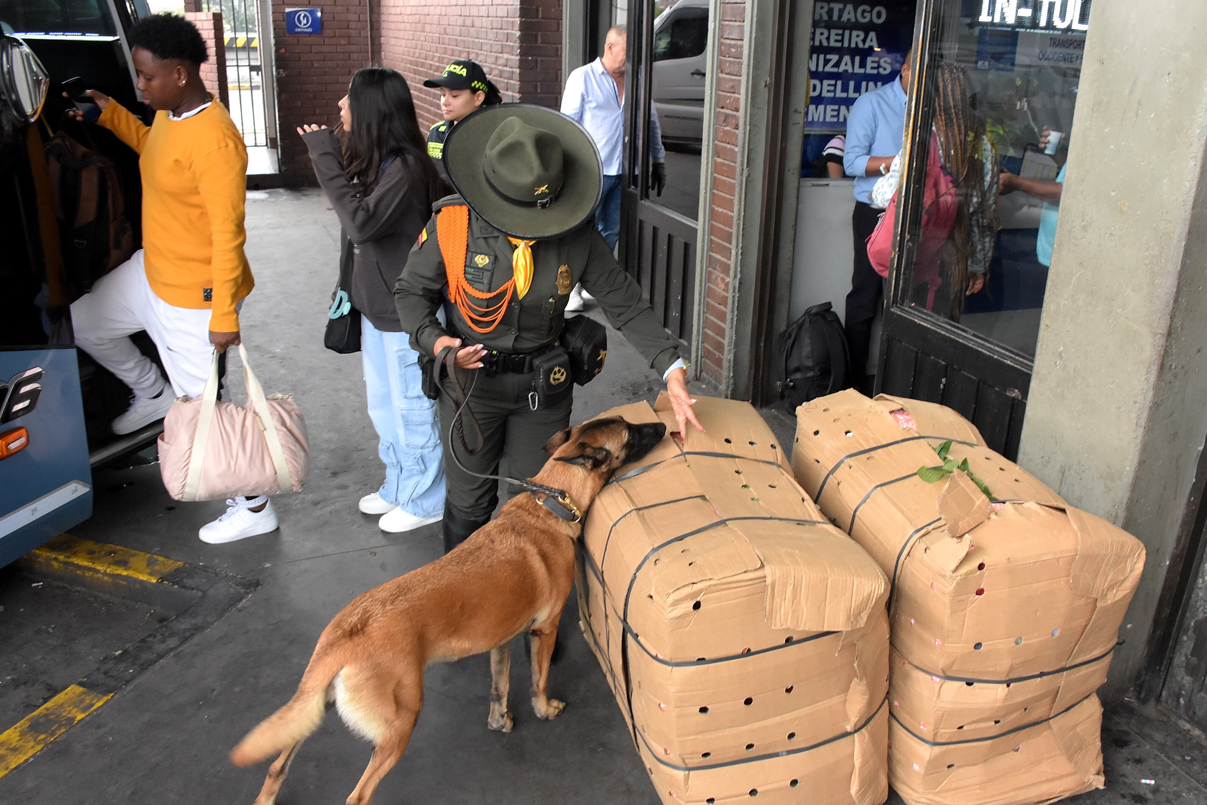 Lanzamiento Plan de Seguridad Semana Santa en Familia desde la Terminal de transportes de Cali.