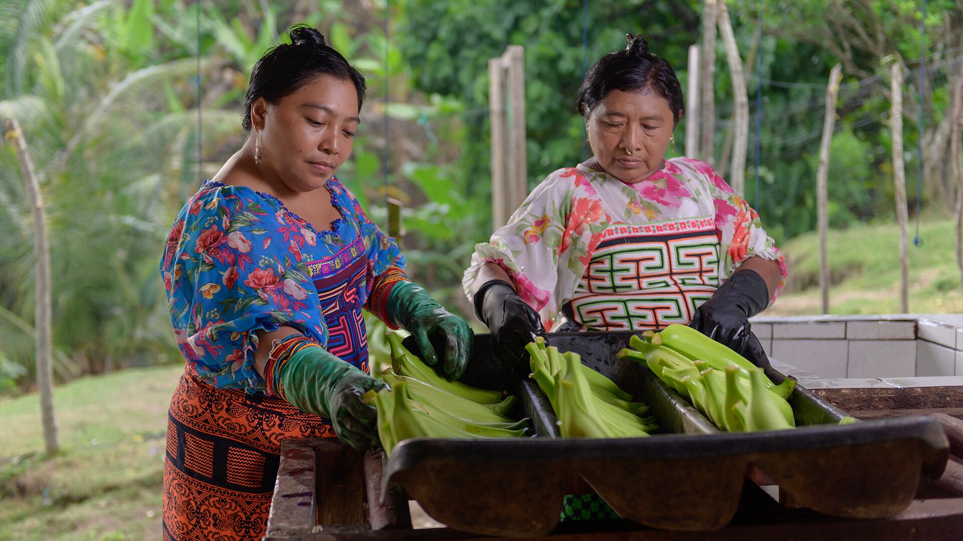 Especial Empresas que construyen país, Unibán